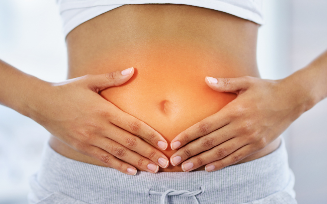 The Immune System and Your Gut
