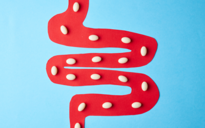 Unveiling the Significance of Probiotics and Selecting the Right One
